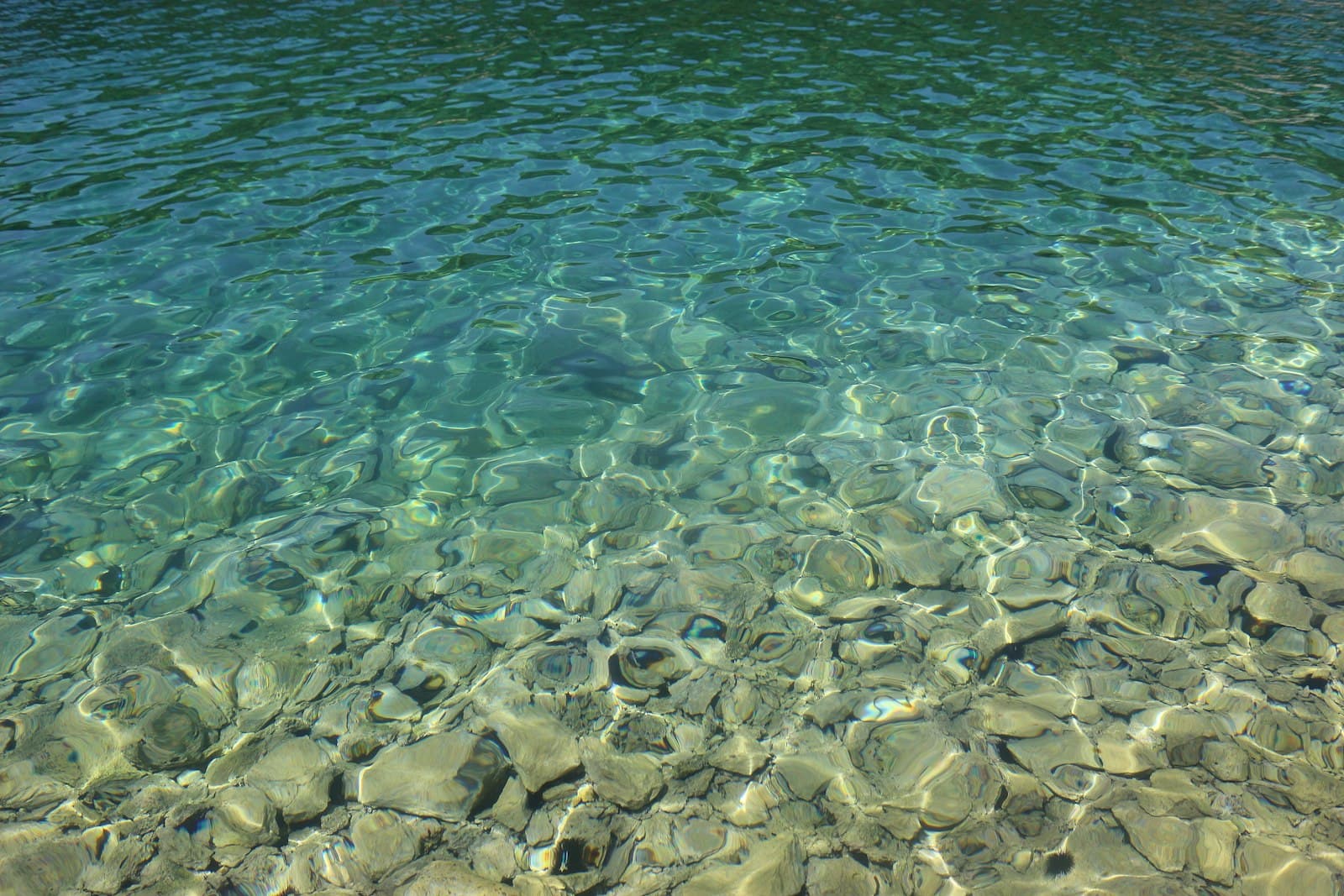 Beach Suncana